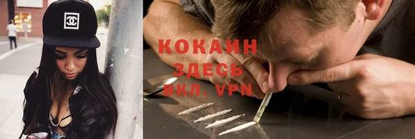 шишки Сафоново