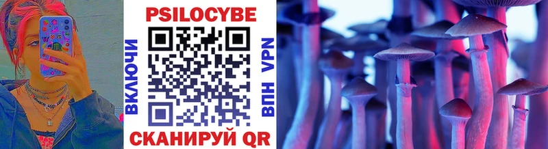 Галлюциногенные грибы мицелий  Купить закладки  Йошкар-Ола 